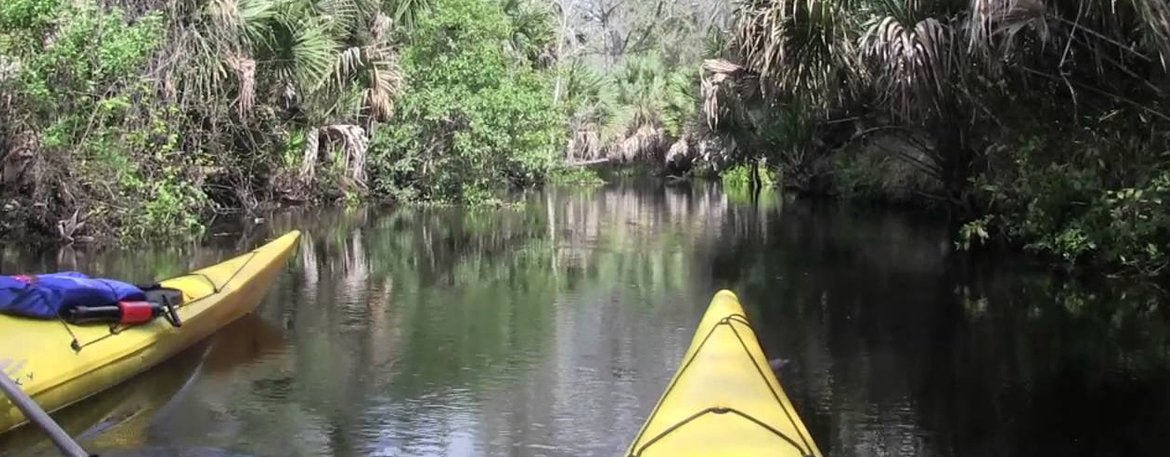 Ein besserer Urlaub mit Dachgepäckträgern - Omac Shop GmbH