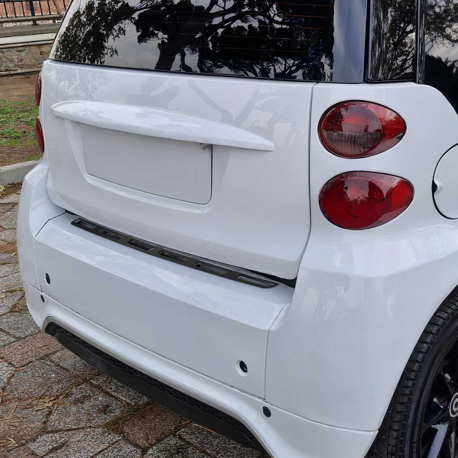 Ladekantenschutz für Smart ForTwo W451 2007-2014 dark Edelstahl chrom gebürstet