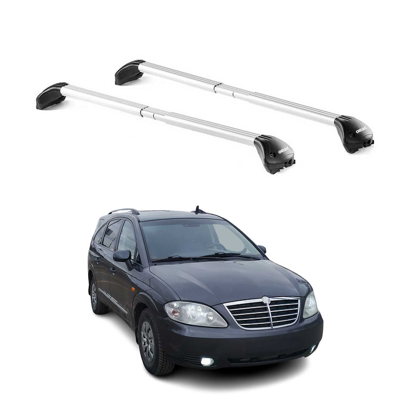 Dachträger Grundtäger für Ssangyong Rodius 2004-2019 5 tür 100kg Alu Grau 2x ABE