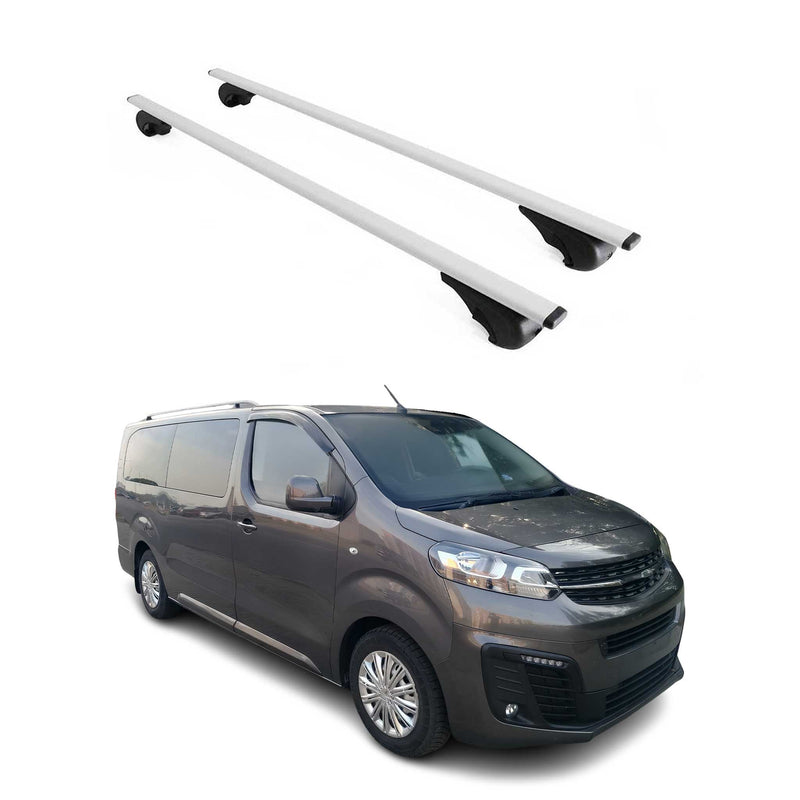 Dachträger Grundtäger für Opel Vivaro C 2019-2025 75kg Metall Silber 2 tlg