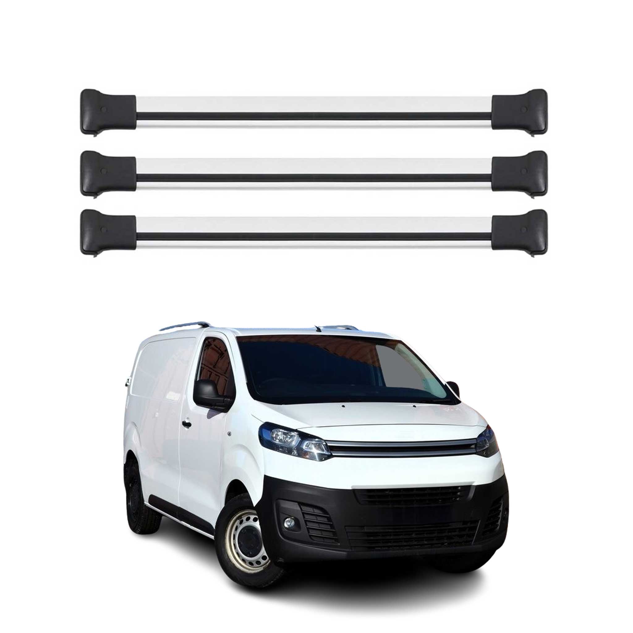 Dachträger Grundtäger für Citroen Jumpy 2016-2026 75kg Aluminium Silber 3 tlg