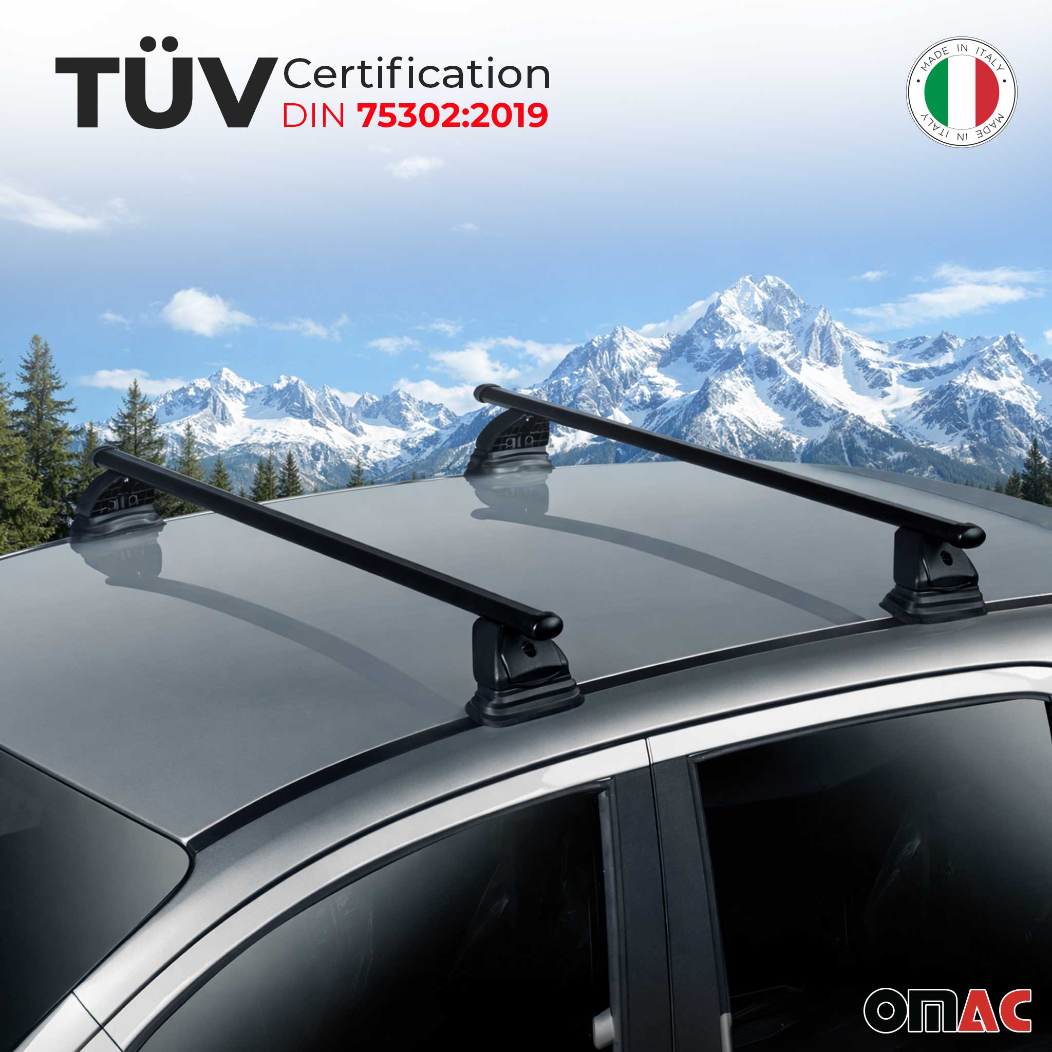 Stahl Dachträger für Ford Transit Connect I 2003-2013 TÜV 75 kg 2tlg Schwarz