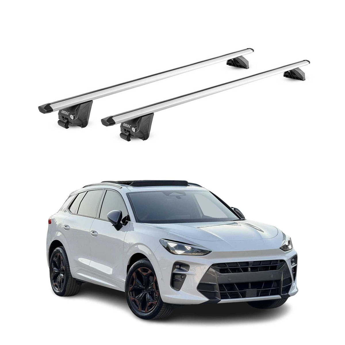 Dachträger Grundtäger für Cupra Terramar 2024-2026 100kg Aluminium Silber 2x ABE