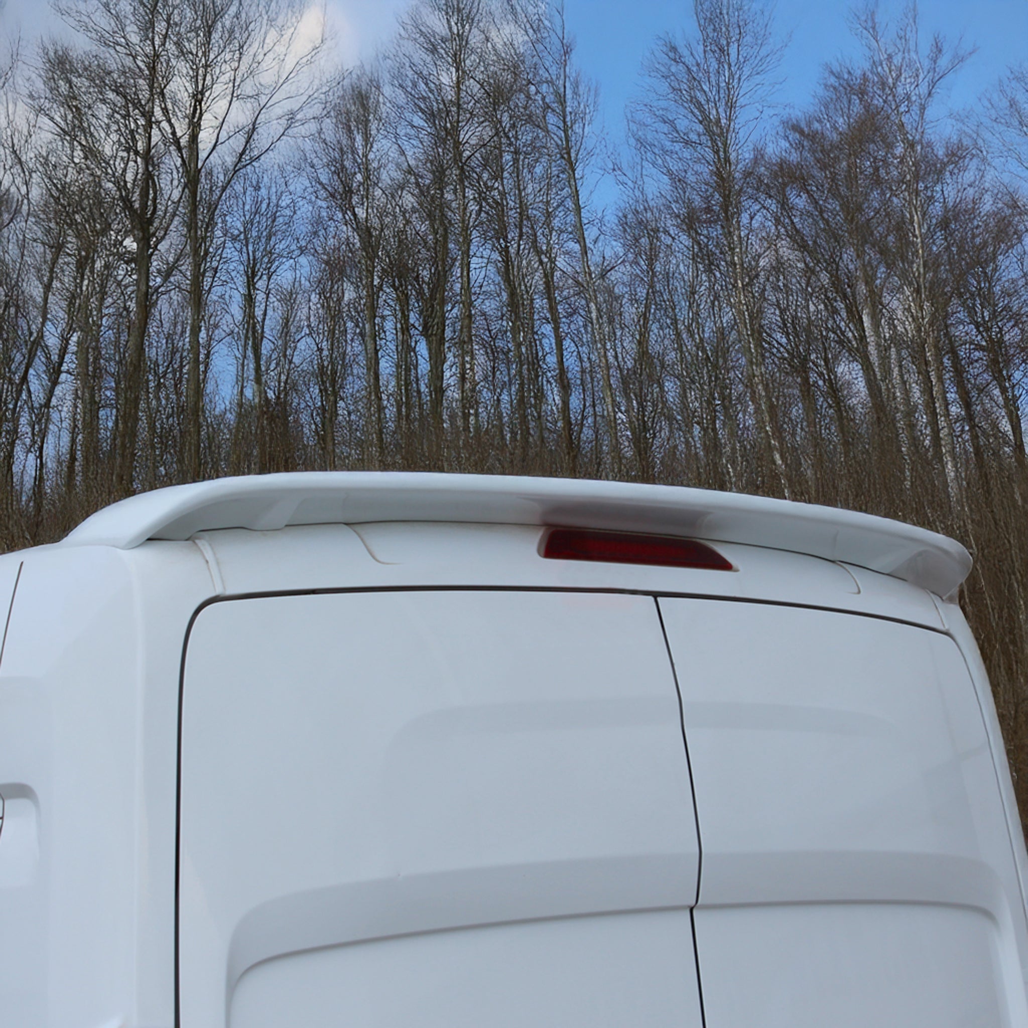 Heckspoiler Heckflügel Hecklippe für Ford Transit 2014-2019 Farbe 7VTA ABS 1tlg