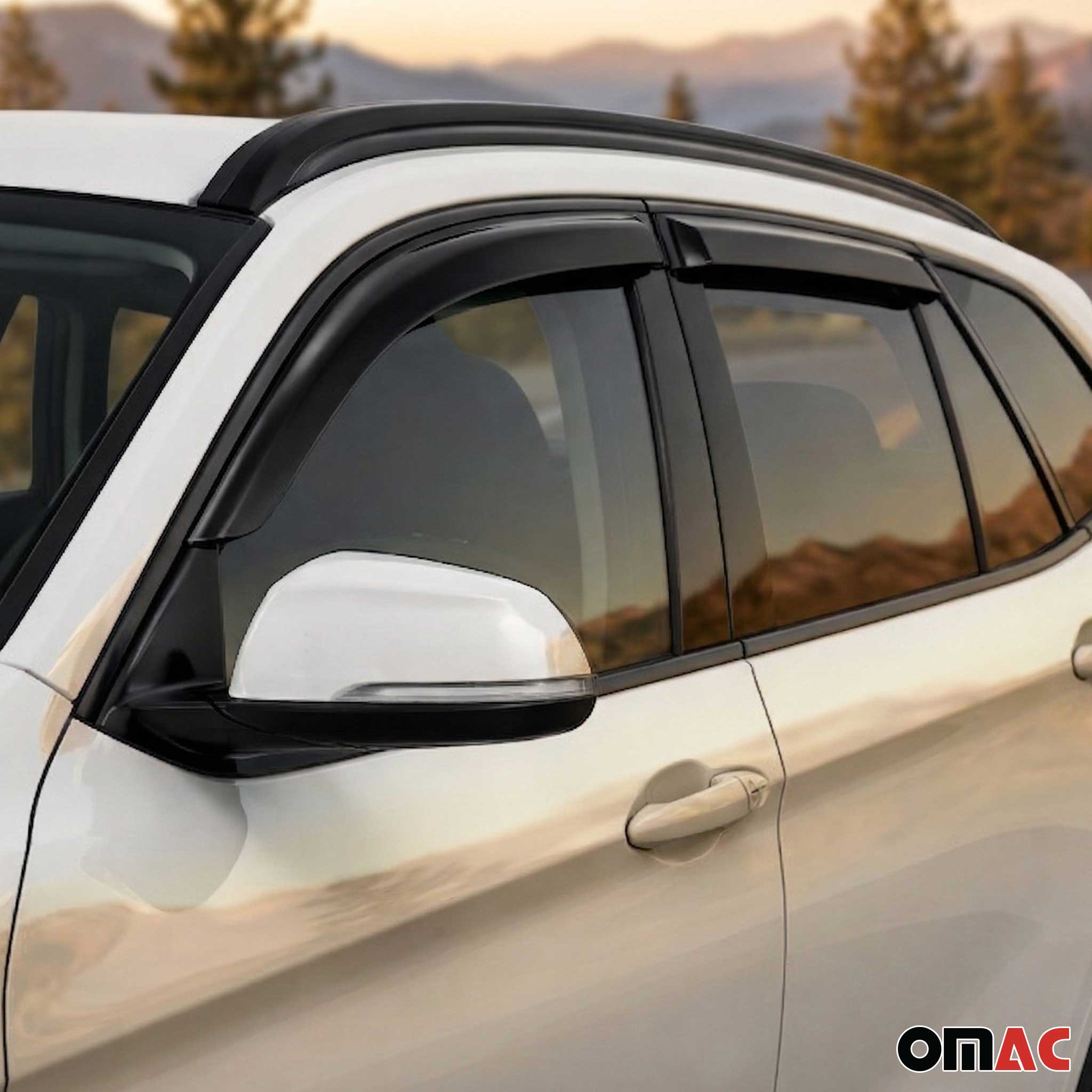 Windabweiser Regenabweiser für BMW X1 E84 2009-2015 Acryl Dunkel 4tlg