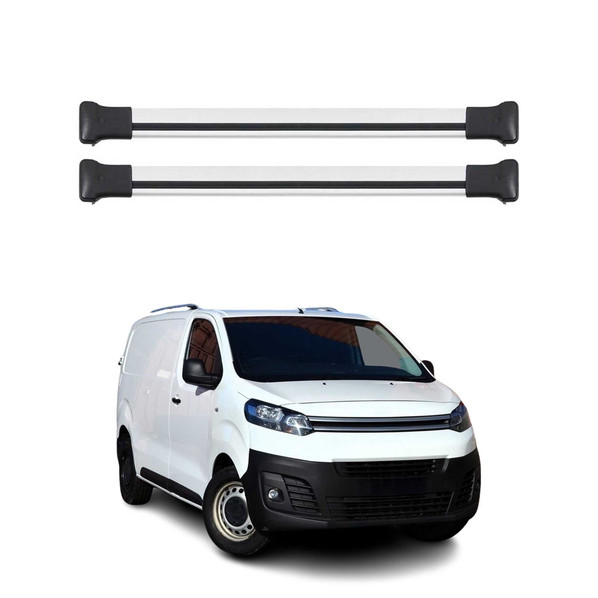 Dachträger Grundtäger für Citroen Jumpy 2016-2026 75kg Aluminium Silber 2 tlg