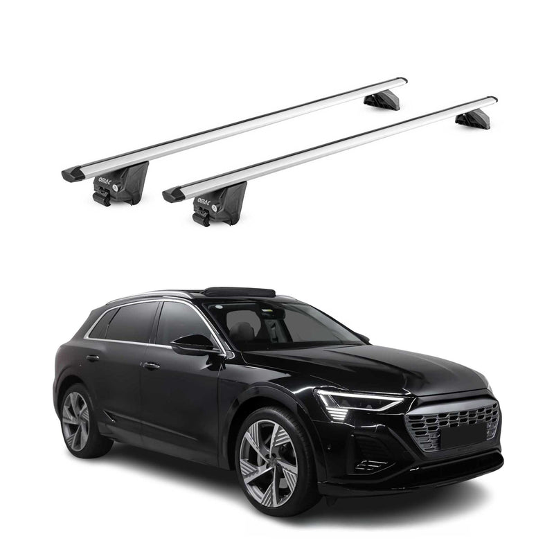 Dachträger Grundtäger für Audi e-Tron 2018-2025 100kg Aluminium Silber 2tlg ABE