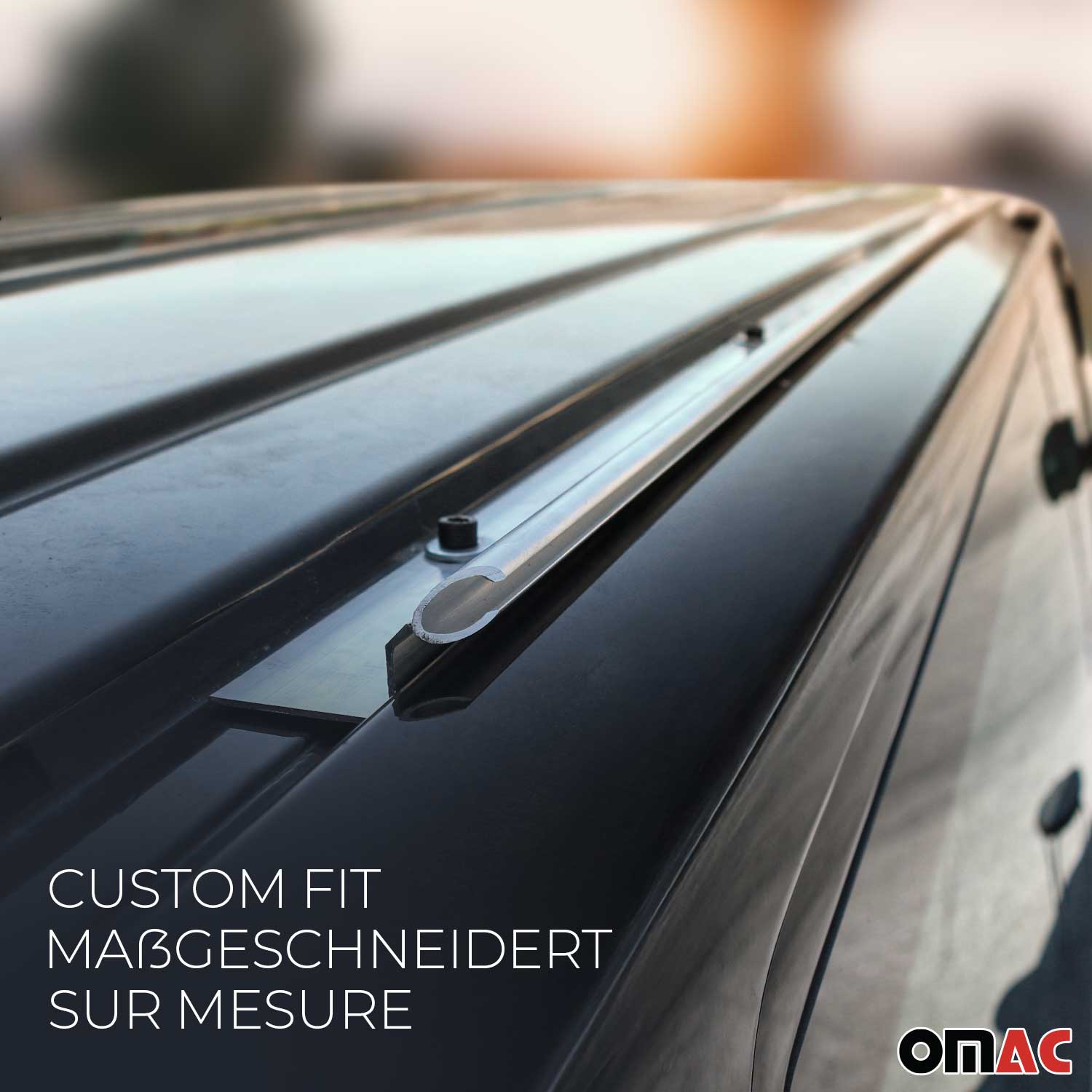 Sonnensegel Kederschiene für Ford Transit / Tourneo Custom 2013-22 L2 Silber Alu