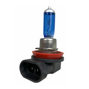 Spotlight Autolampe Halogen H11 Lampe 12V 55W Xenon Look 1 tlg