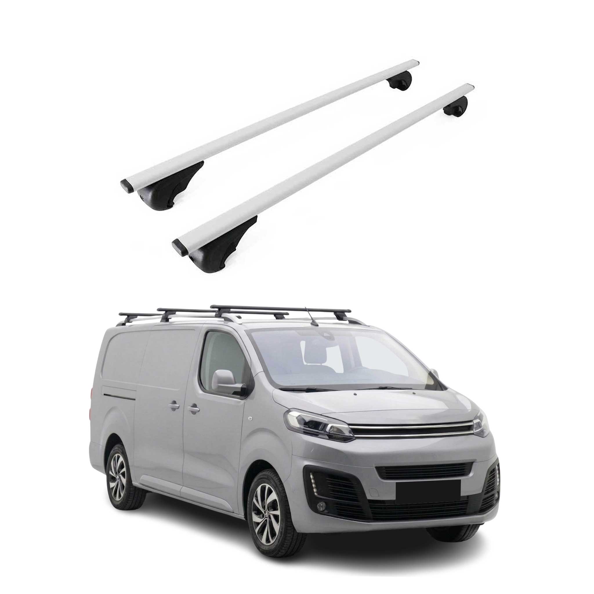 Dachträger Grundträger für Citroen Jumpy 2016-2026 Metall Silber 2tlg