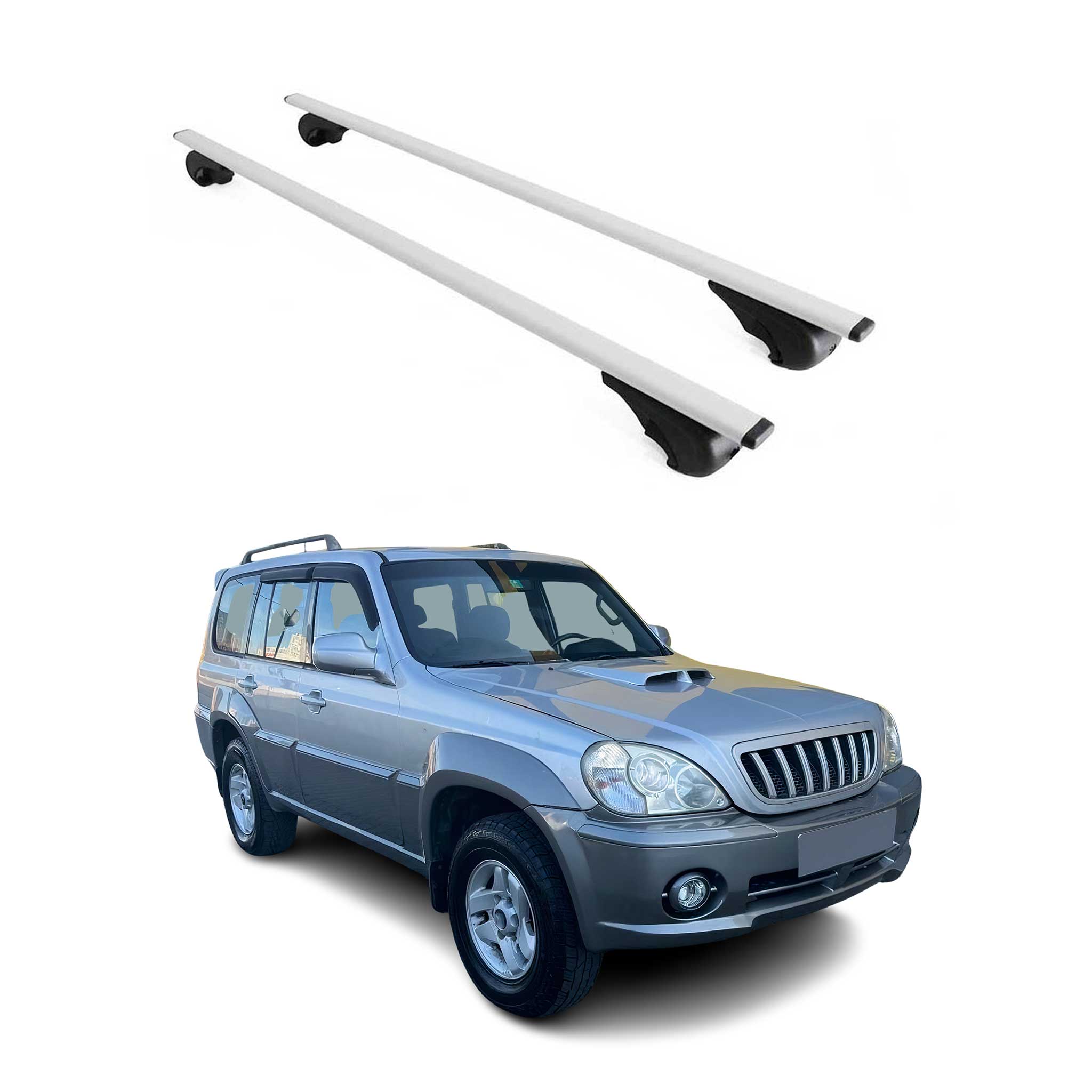 Dachträger Grundtäger für Hyundai Terracan 2001-2007 75kg Metall Silber 2 tlg