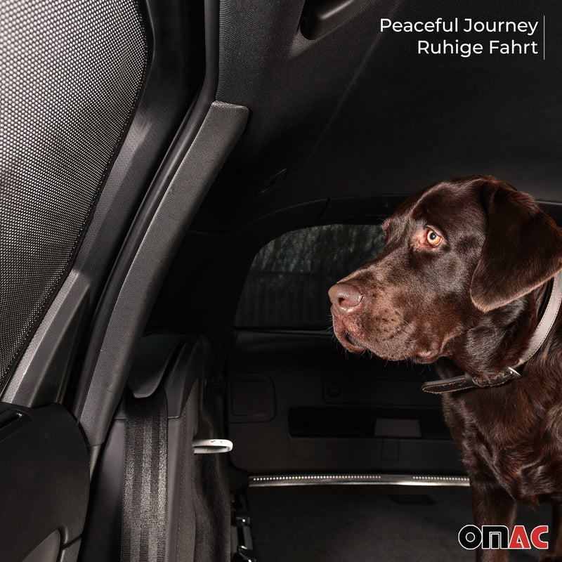 Sonnenschutz Seitenfenster für BMW 5er Touring G31 2017-2023 Heckscheibe 2tlg