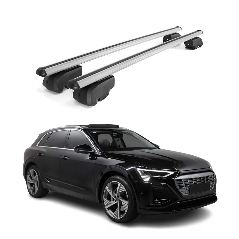 Dachträger Grundtäger für Audi e-Tron 2018-2025 75kg Aluminium Silber 2 tlg