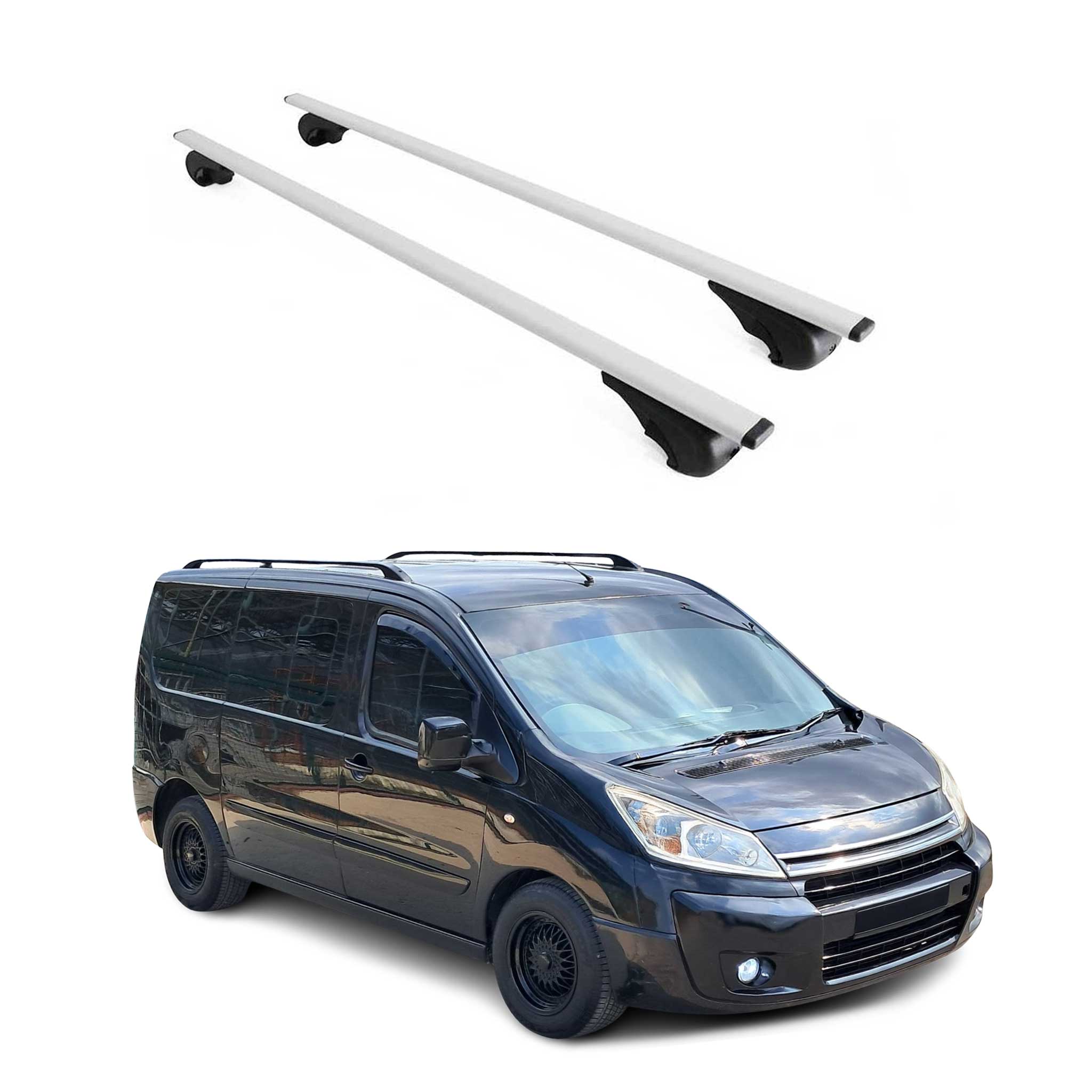 Dachträger Grundtäger für Citroen Jumpy 2007-2016 75kg Metall Silber 2 tlg