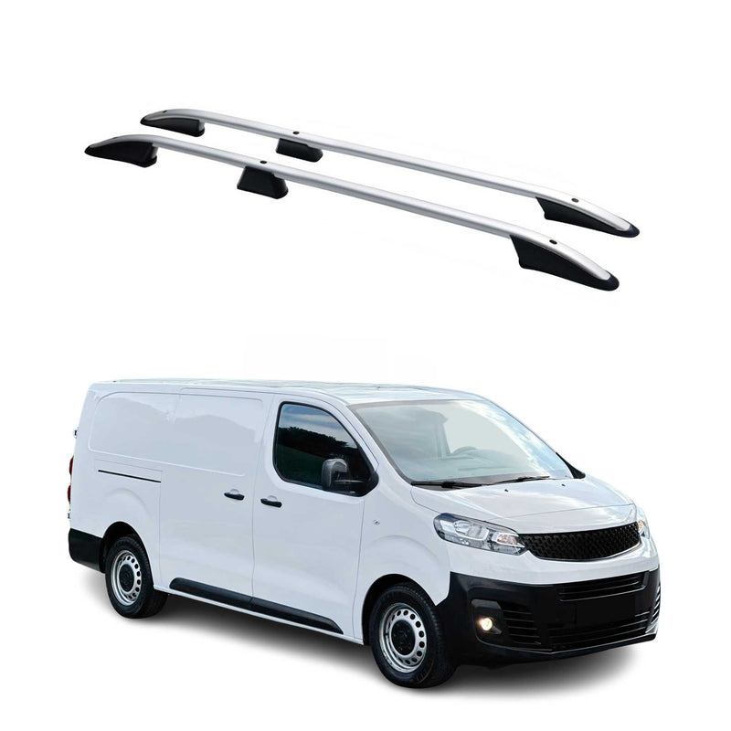 Dachreling für Fiat Scudo Peugeot Expert Citroen Jumpy 2017-2025 L3 Alu Grau